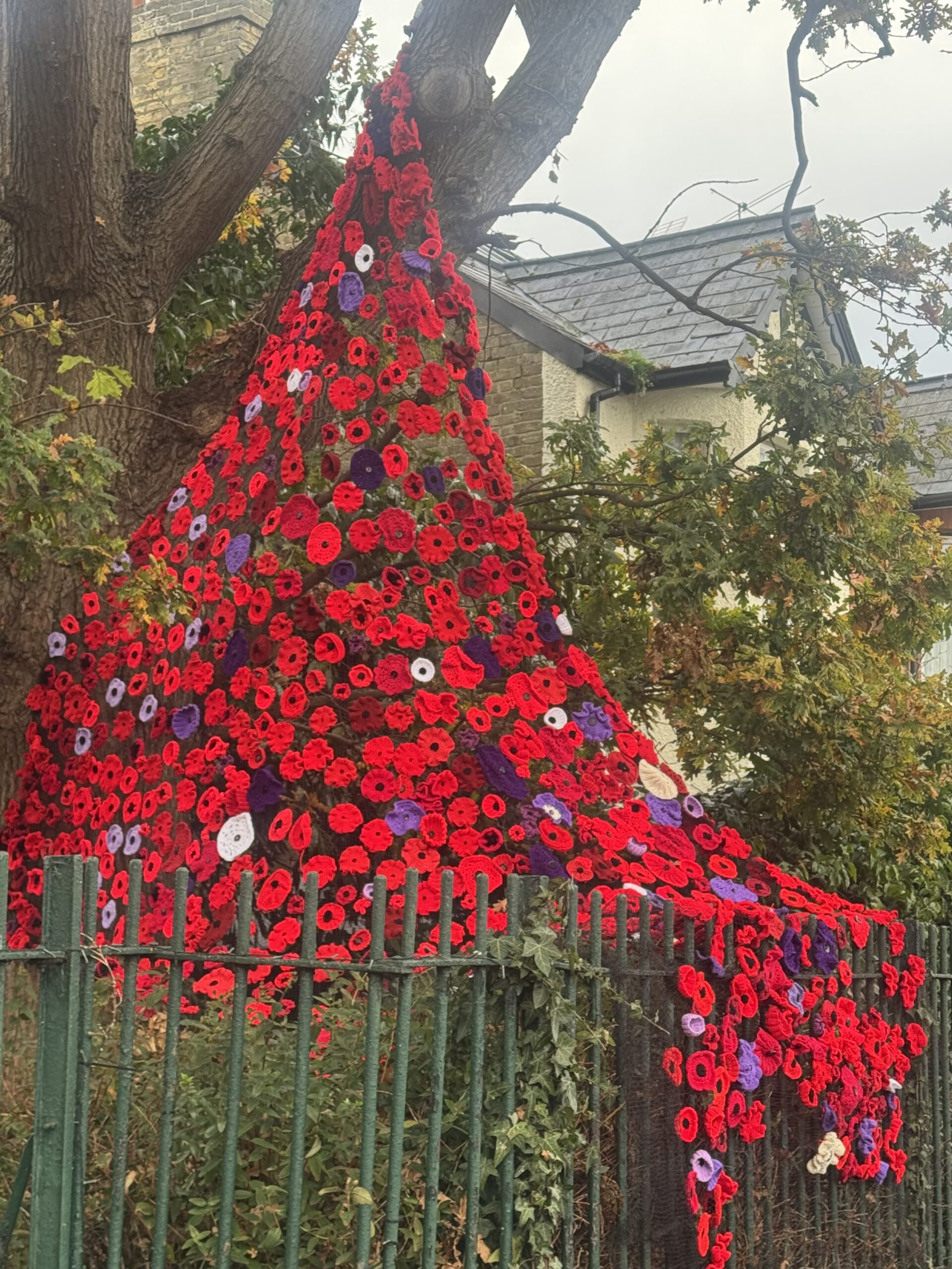 Clewer Memorial Poppy Project 2025