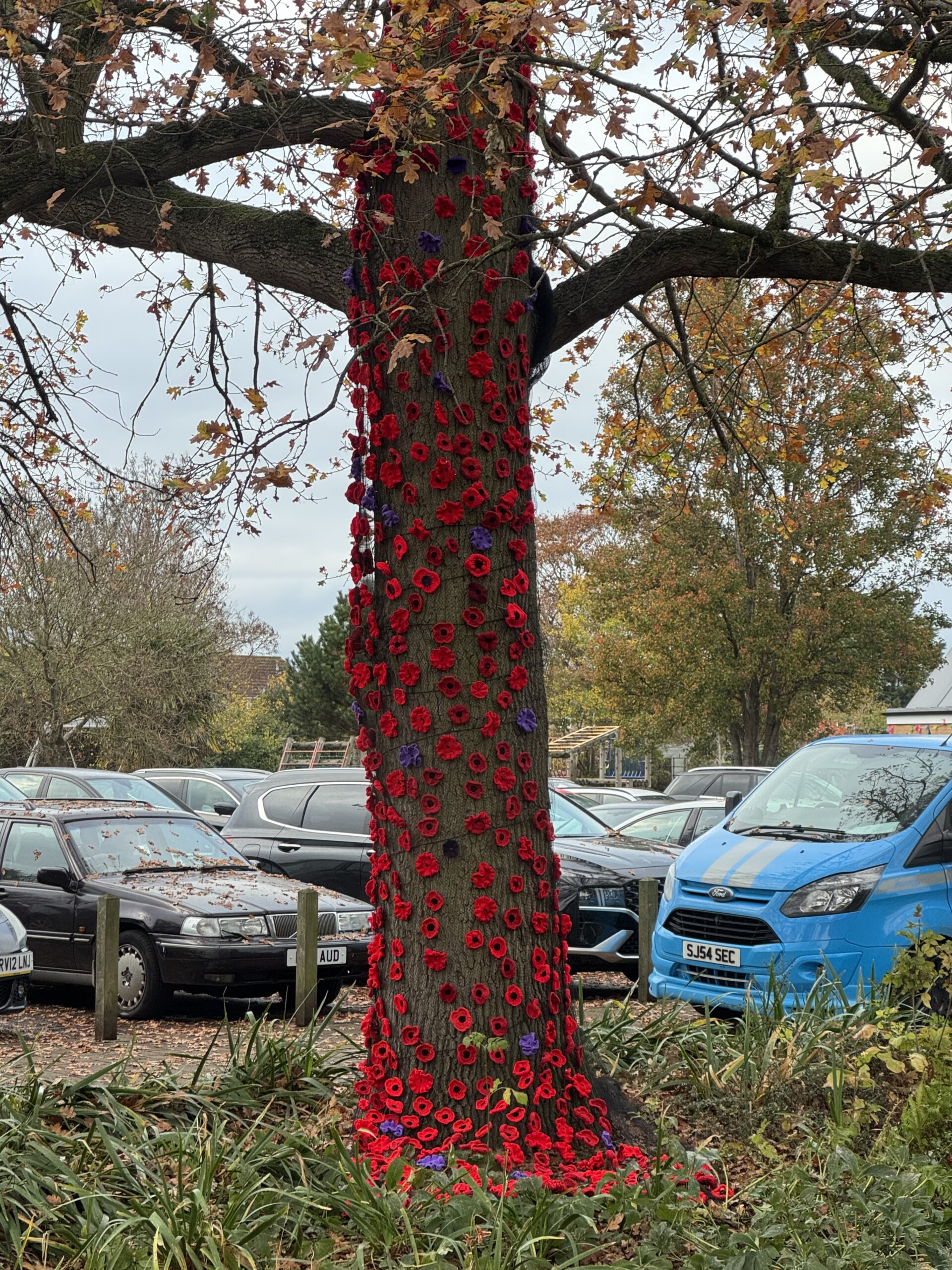 Clewer Memorial Poppy Project display 2025